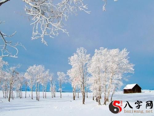 梦见满山都是雪