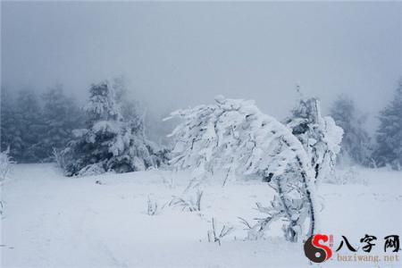 梦见下大雪