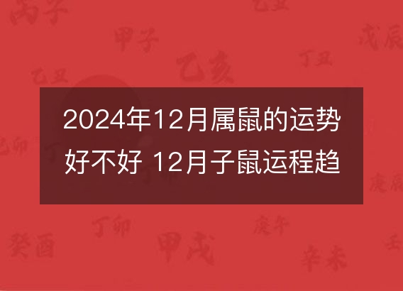 2024年12月属鼠的运势好不好 12月子鼠运程趋势解说