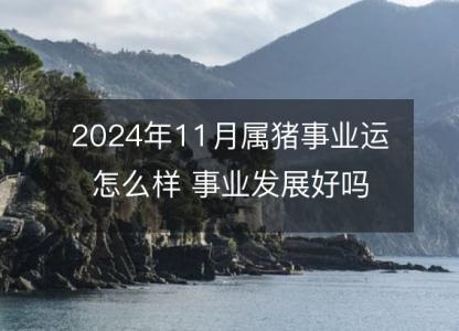 2024年11月属猪事业运怎么样 事业发展好吗