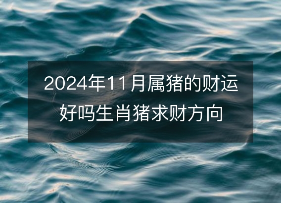 2024年11月属猪的财运好吗生肖猪求财方向