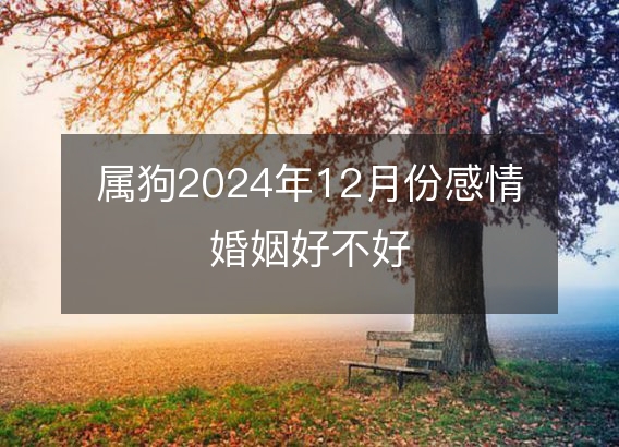 属狗2024年12月份感情婚姻好不好