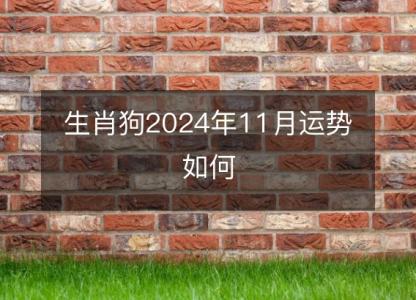 生肖狗2024年11月运势如何