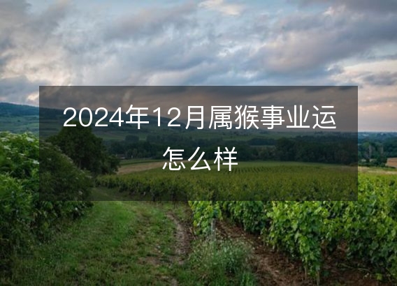 2024年12月属猴事业运怎么样