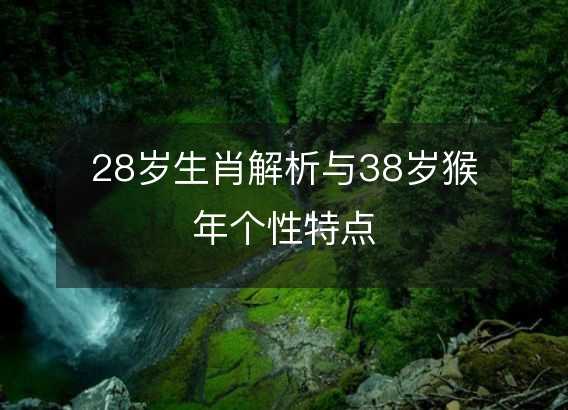 28岁生肖解析与38岁猴年个性特点