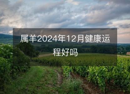 属羊2024年12月健康运程好吗