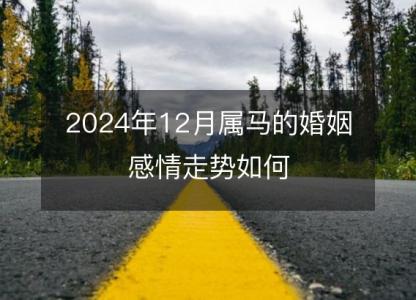 2024年12月属马的婚姻感情走势如何