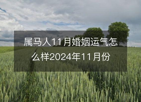 属马人11月婚姻运气怎么样2024年11月份