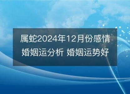 属蛇2024年12月份感情婚姻运分析 婚姻运势好吗