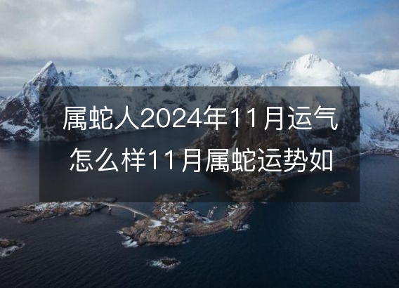 属蛇人2024年11月运气怎么样11月属蛇运势如何