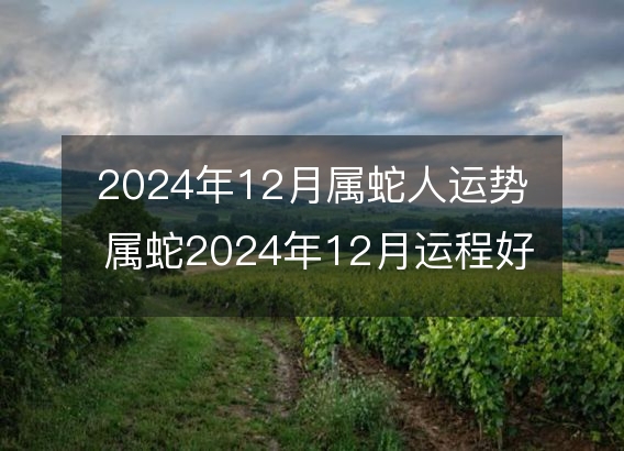 2024年12月属蛇人运势 属蛇2024年12月运程好吗