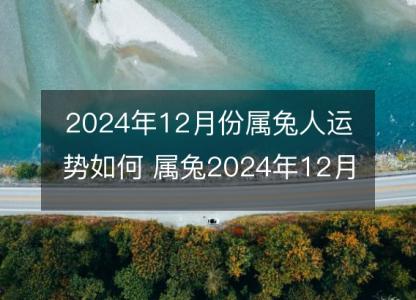 2024年12月份属兔人运势如何 属兔2024年12月份运程好吗