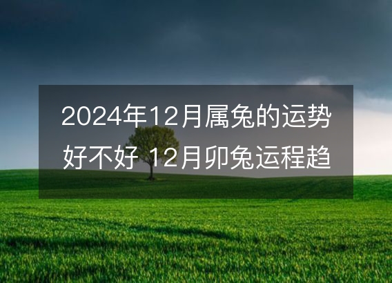 2024年12月属兔的运势好不好 12月卯兔运程趋势解说