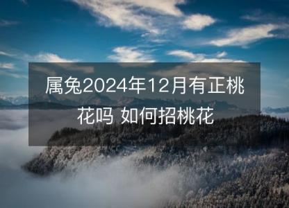 属兔2024年12月有正桃花吗 如何招桃花