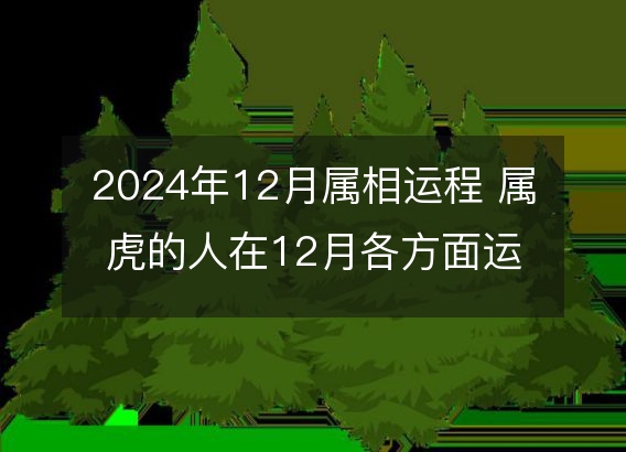 2024年12月属相运程 属虎的人在12月各方面运势好吗