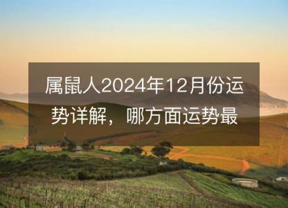 属鼠人2024年12月份运势详解，哪方面运势最好