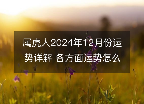 属虎人2024年12月份运势详解 各方面运势怎么样