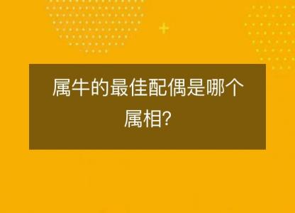 属牛的最佳配偶是哪个属相？