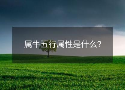 属牛五行属性是什么？