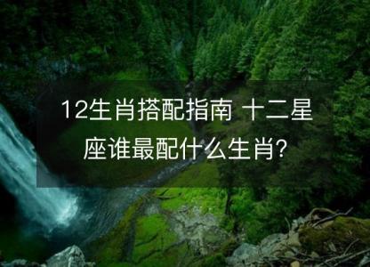 12生肖搭配指南 十二星座谁最配什么生肖？