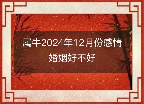 属牛2024年12月份感情婚姻好不好