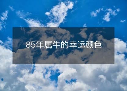 85年属牛的幸运颜色