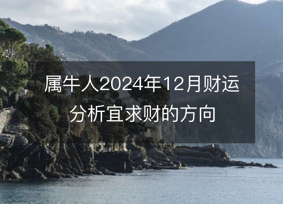 属牛人2024年12月财运分析宜求财的方向