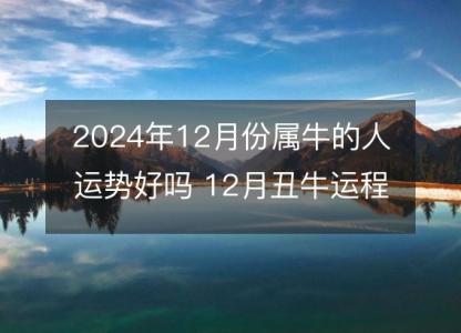 2024年12月份属牛的人运势好吗 12月丑牛运程发展趋势