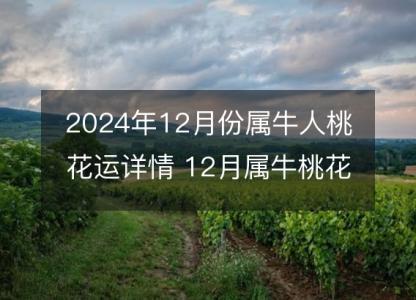 2024年12月份属牛人桃花运详情 12月属牛桃花好吗