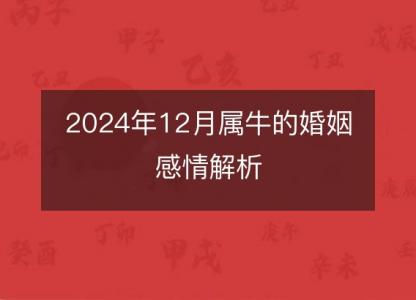 2024年12月属牛的婚姻感情解析