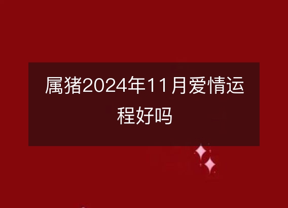 属猪2024年11月爱情运程好吗