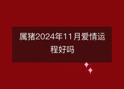 属猪2024年11月爱情运程好吗