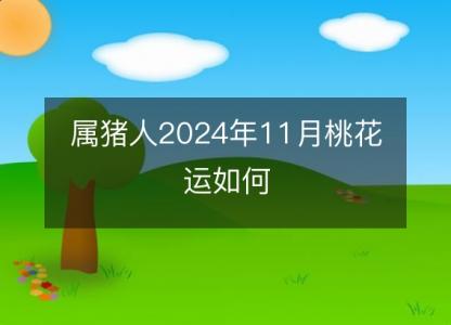 属猪人2024年11月桃花运如何