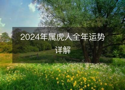 2024年属虎人全年运势详解