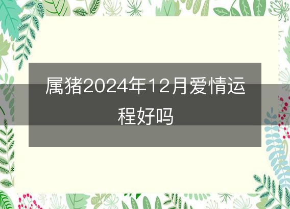 属猪2024年12月爱情运程好吗