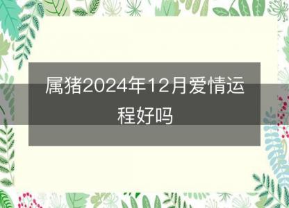 属猪2024年12月爱情运程好吗