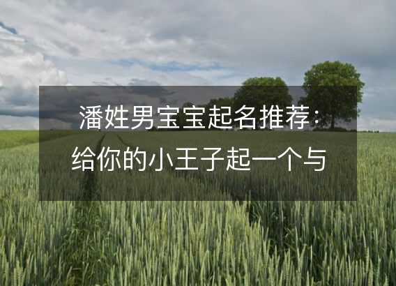 潘姓男宝宝起名推荐：给你的小王子起一个与众不同的霸气名字