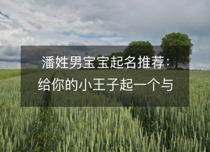 潘姓男宝宝起名推荐：给你的小王子起一个与众不同的霸气名字