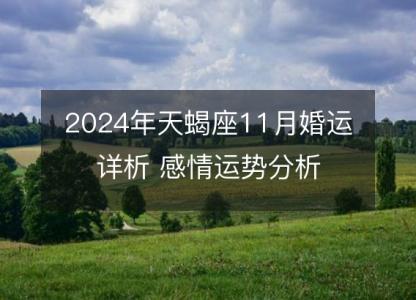 2024年天蝎座11月婚运详析 感情运势分析