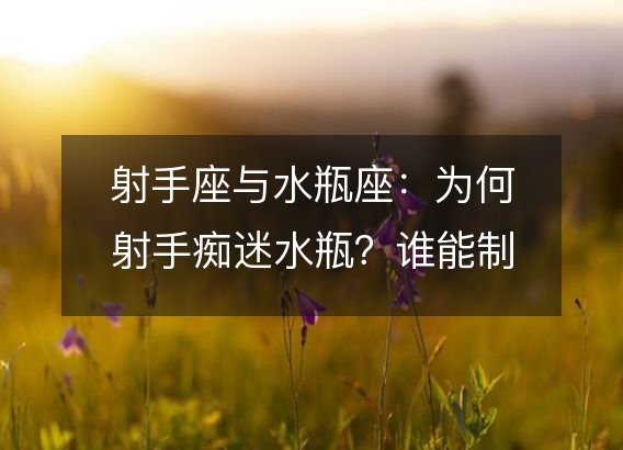 射手座与水瓶座：为何射手痴迷水瓶？谁能制胜？