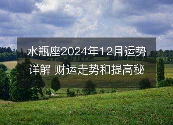 水瓶座2024年12月运势详解 财运走势和提高秘籍