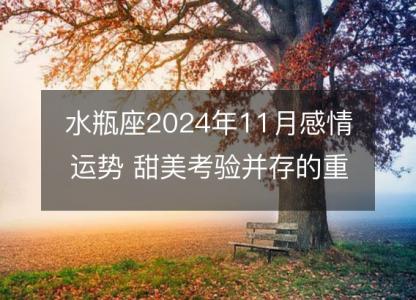 水瓶座2024年11月感情运势 甜美考验并存的重要期