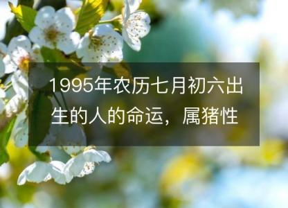 1995年农历七月初六出生的人的命运，属猪性格特点 八字五行