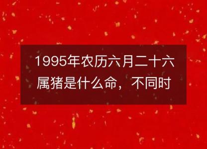 1995年农历六月二十六属猪是什么命，不同时辰八字五行查询