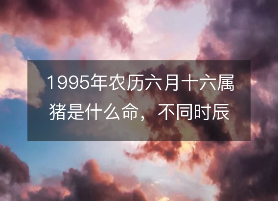 1995年农历六月十六属猪是什么命，不同时辰八字五行查询