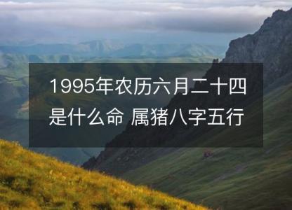 1995年农历六月二十四是什么命 属猪八字五行 婚姻事业详解