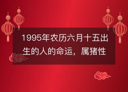 1995年农历六月十五出生的人的命运，属猪性格特点 八字五行