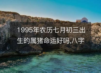 1995年农历七月初三出生的属猪命运好吗,八字五行缺什么 性格特点