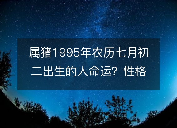 属猪1995年农历七月初二出生的人命运？性格、感情、婚姻解析