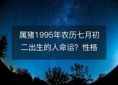 属猪1995年农历七月初二出生的人命运？性格、感情、婚姻解析